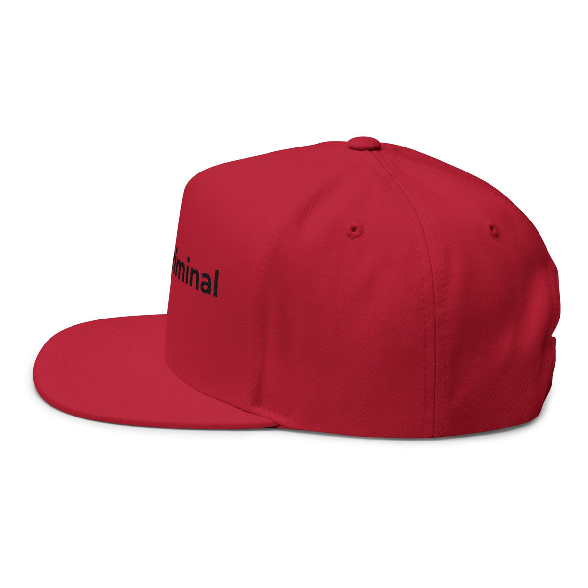 Embroidered Flat Bill Cap